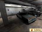 decay1sm.jpg (3074 byte)