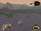 hogs1sm.jpg (2388 byte)