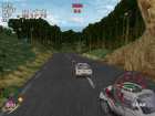 vrally3sm.jpg (2606 byte)